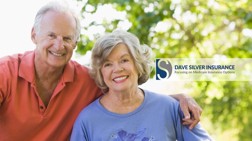 Dave Silver Insurance | 19431 Beacon Park Pl, Bradenton, FL 34202, USA | Phone: (941) 907-2879