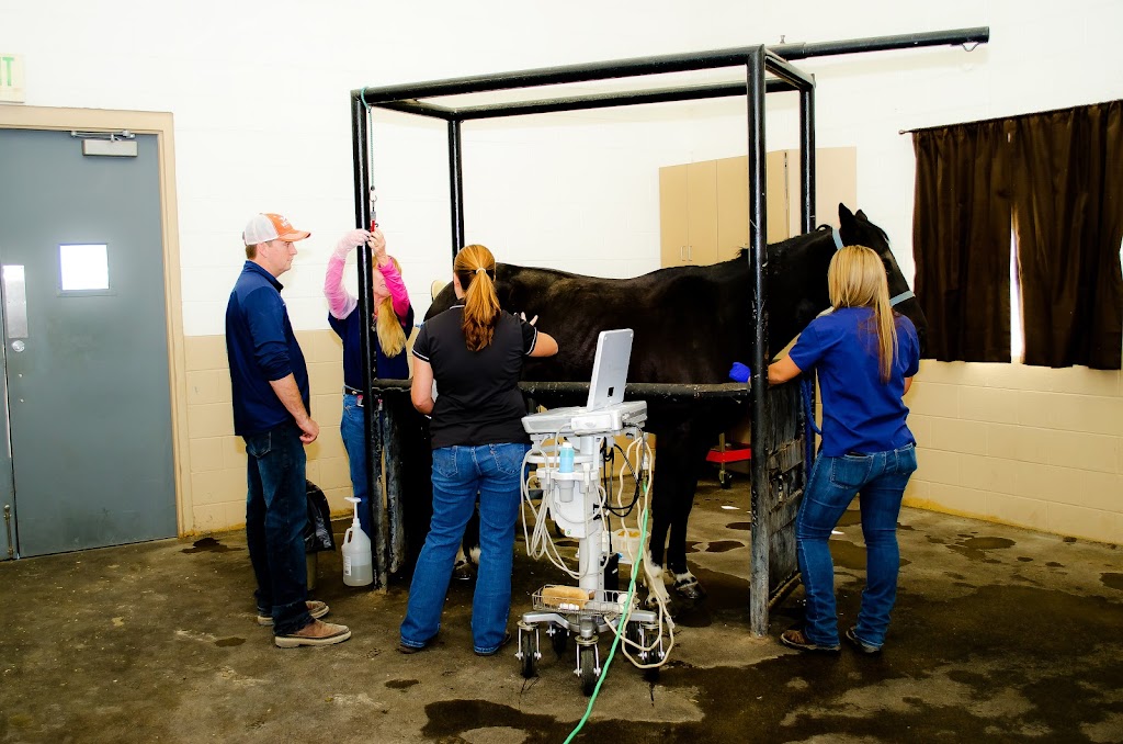 Idaho Equine Hospital | 16080 Equine Dr, Nampa, ID 83687, USA | Phone: (208) 466-4613