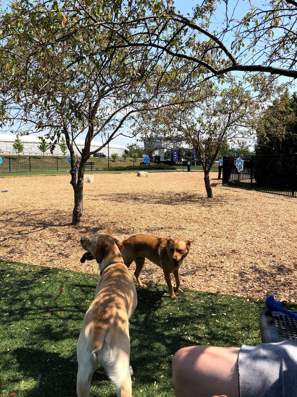 Dog Park at Clay Terrace | 14390 Clay Terrace Blvd, Carmel, IN 46032, USA | Phone: (317) 818-0725