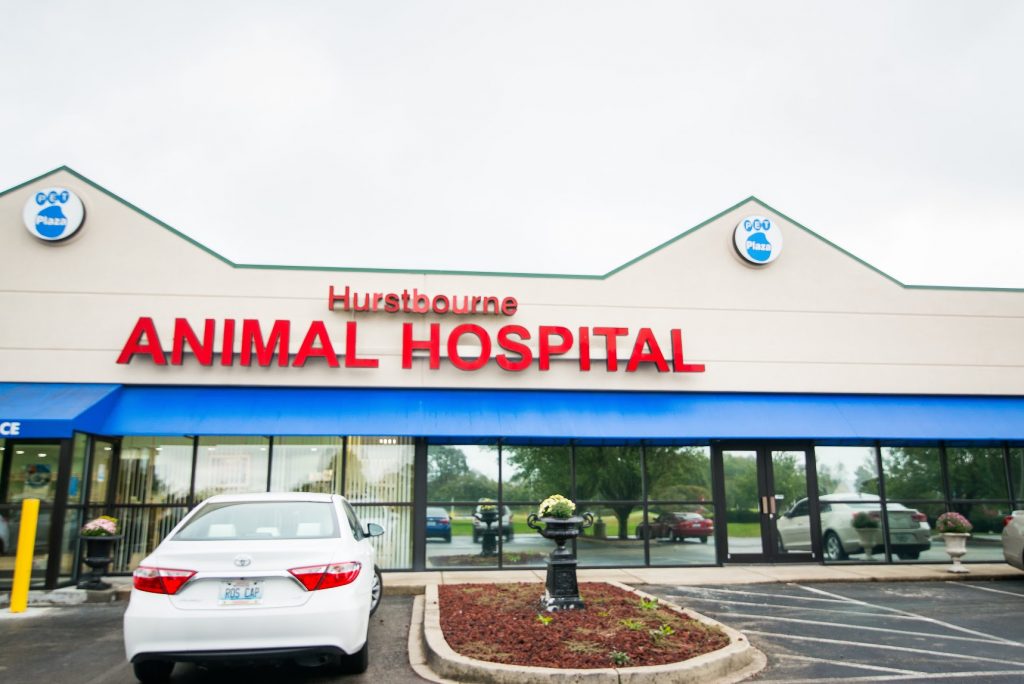 Hurstbourne Animal Hospital | 4601 Wattbourne Ln, Louisville, KY 40299, USA | Phone: (502) 495-0509