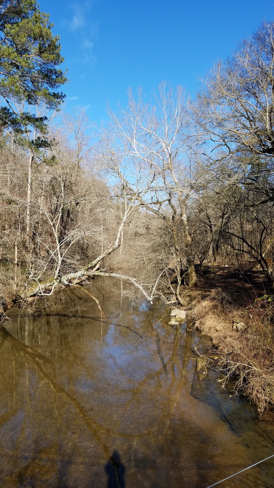 Turkey Creek Nature Preserve | 3906 Turkey Creek Rd, Pinson, AL 35126, USA | Phone: (205) 680-4116