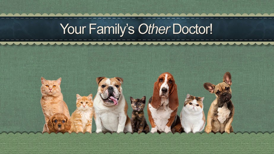 Dogwood Animal Hospital | 2050 Sugarloaf Pkwy, Lawrenceville, GA 30045 | Phone: (678) 377-0070