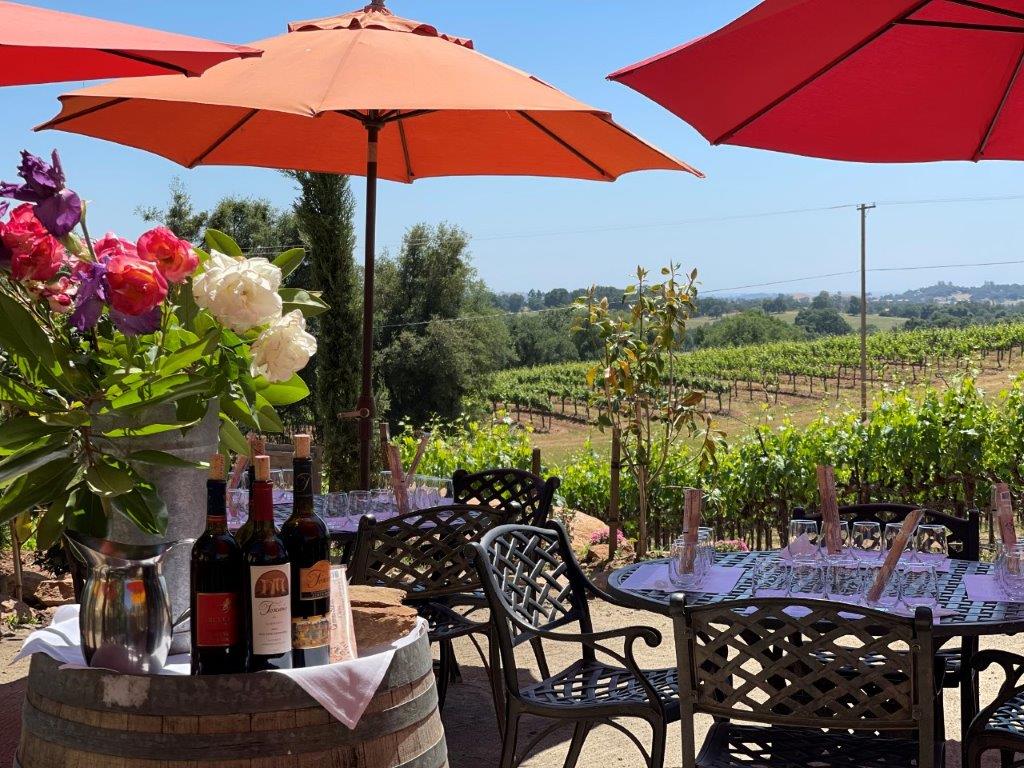 Villa Toscano Winery | 10600 Shenandoah Rd, Plymouth, CA 95669, USA | Phone: (209) 245-3800