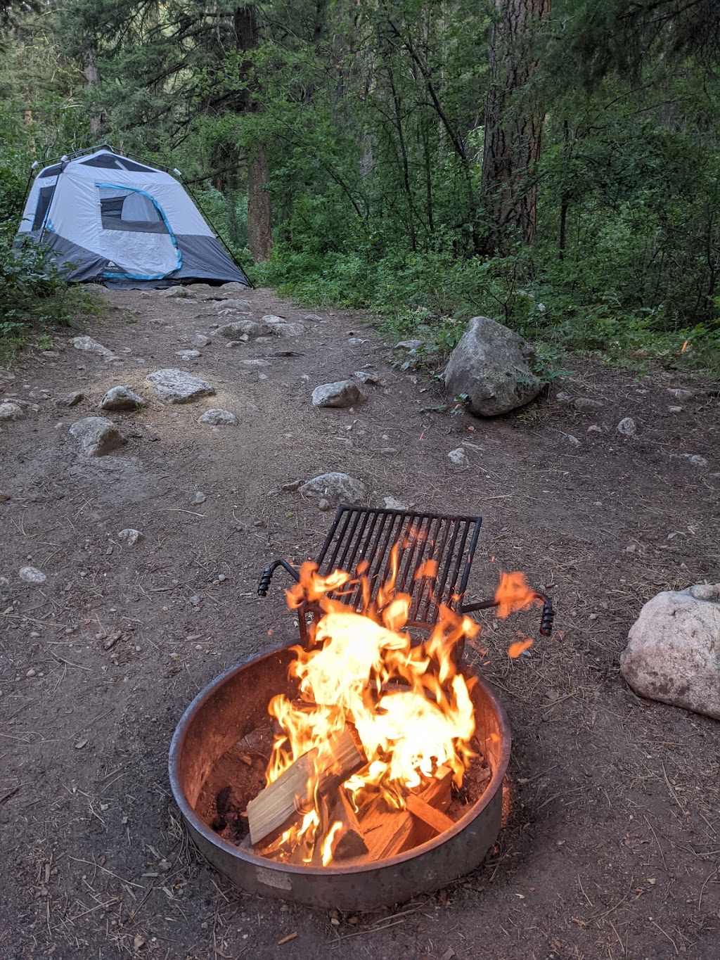 Hayfork Group Campground | ID-21, Idaho City, ID 83631, USA | Phone: (208) 392-6681