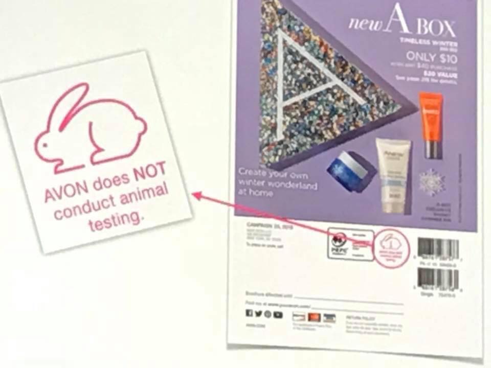 Avon by Dawn | NOT AN ACTUAL STORE, 12000 S Orange Blossom Trl, Orlando, FL 32837, USA | Phone: (407) 479-7536