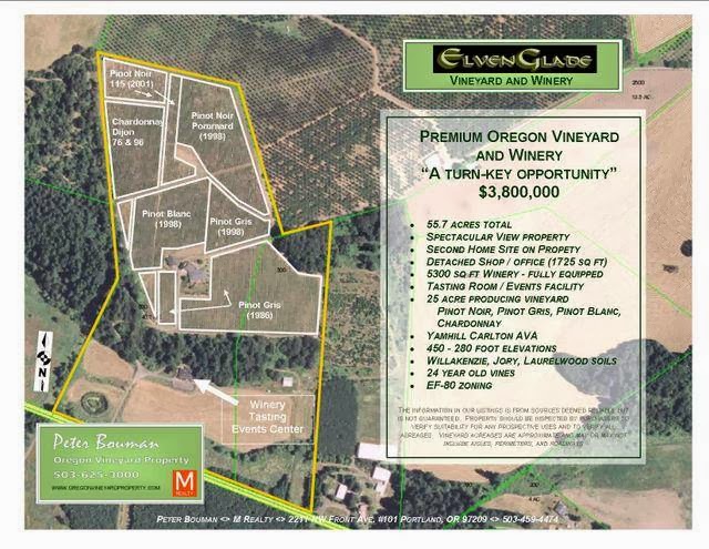 Oregon Vineyard Property | 20980 NE Niederberger Rd, Dundee, OR 97115, USA | Phone: (503) 625-3000