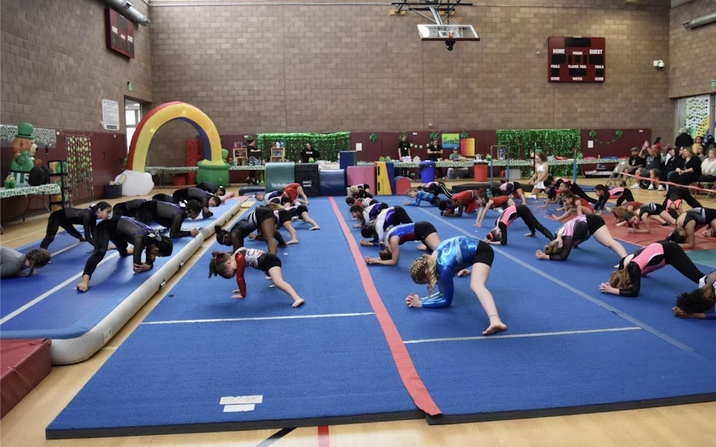 Valley-Wide Elite Gymnastics | 25625 Briggs Rd, Menifee, CA 92585, USA | Phone: (714) 600-3099