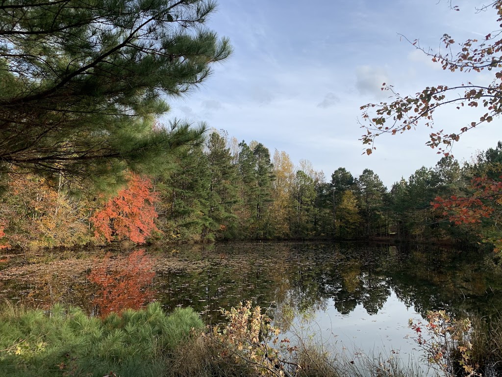 Tequila Sunrise Farm and Stables Equestrian Facility 5408 Parkwood