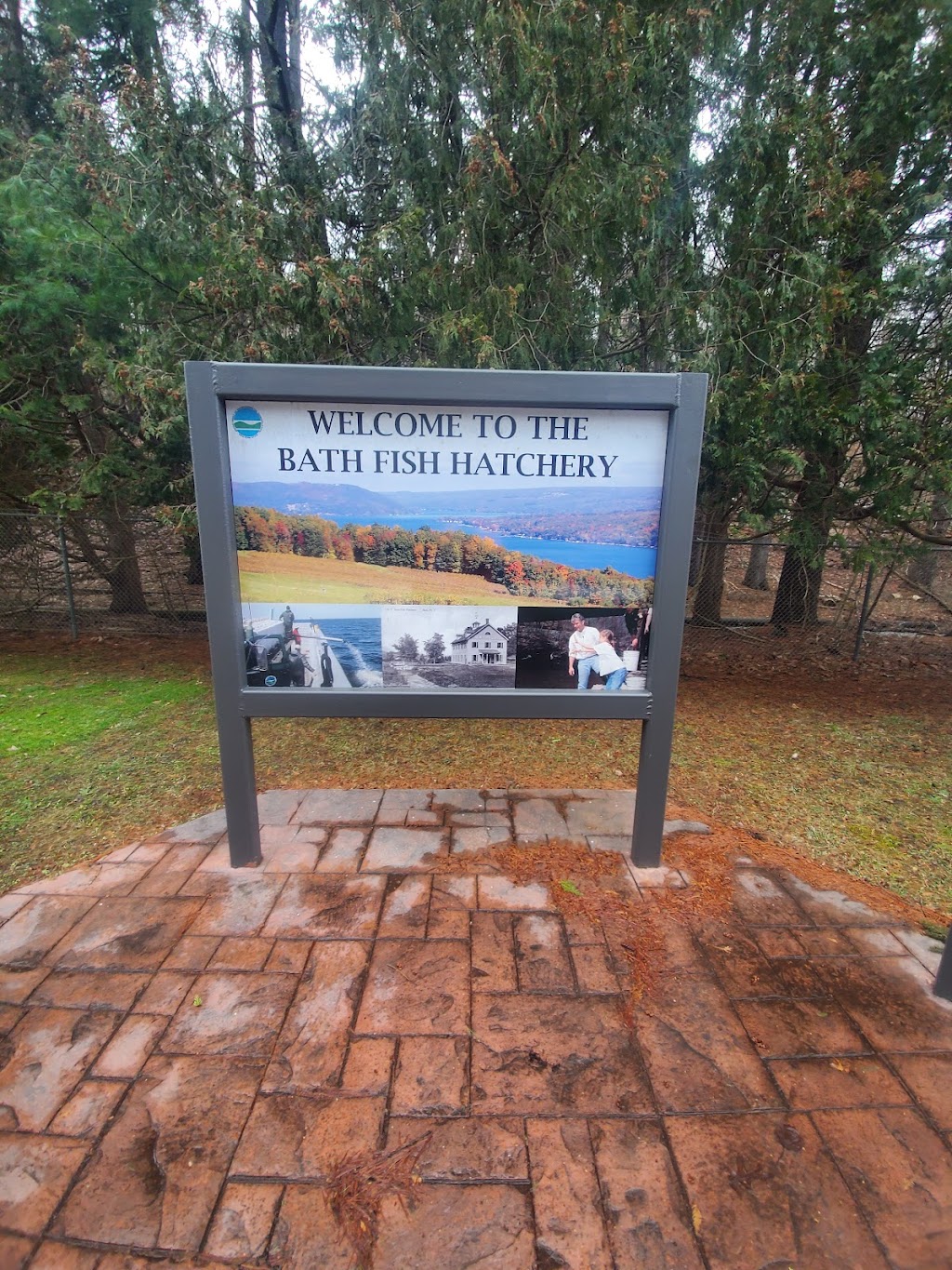 New York State Fish Hatchery | 7169 Fish Hatchery Rd, Bath, NY 14810, USA | Phone: (607) 776-7087