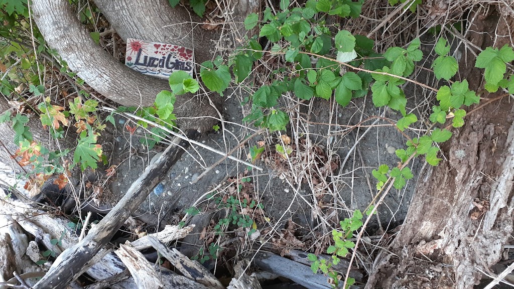 Gig Harbor Beach Bay Getaway | 7223 120th St NW, Gig Harbor, WA 98332, USA | Phone: (253) 857-8424