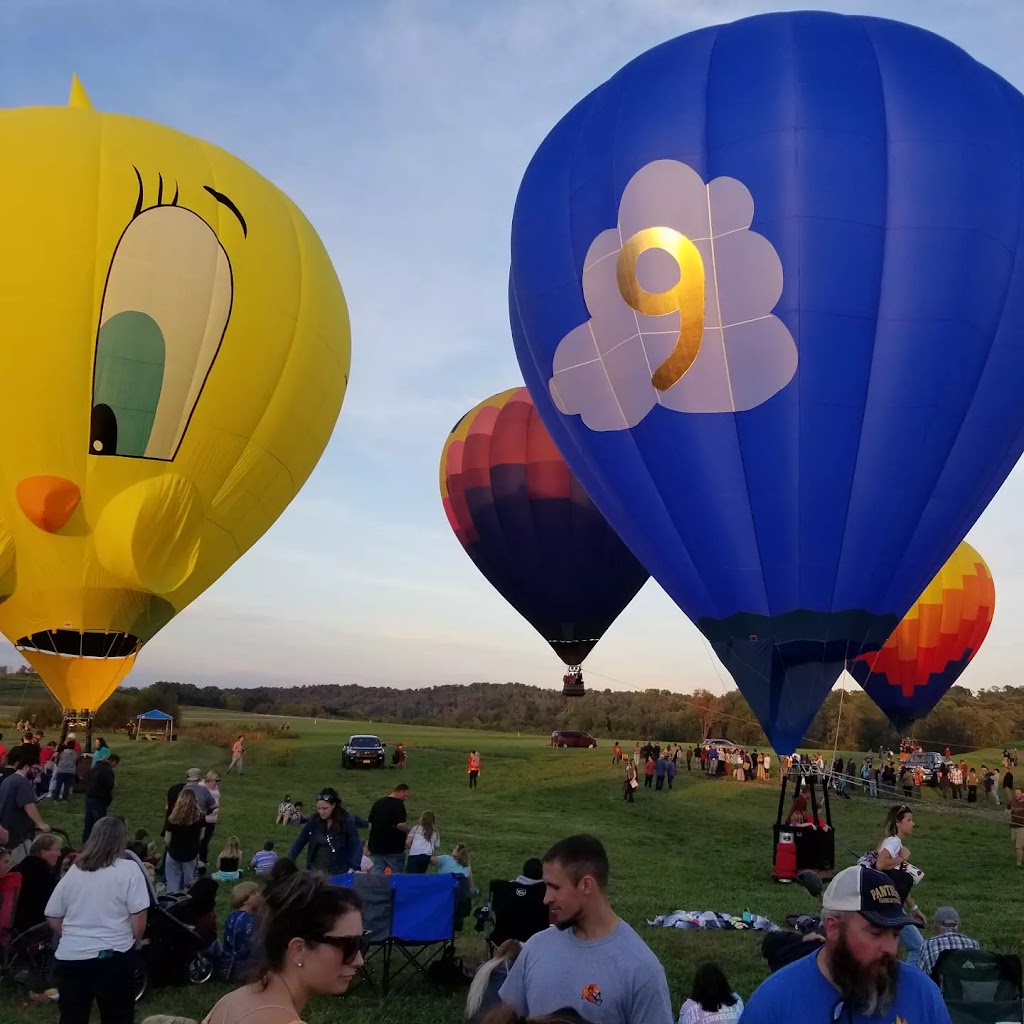 Greene County Airport | 417 E Roy Furman Hwy, Waynesburg, PA 15370, USA | Phone: (724) 627-8029