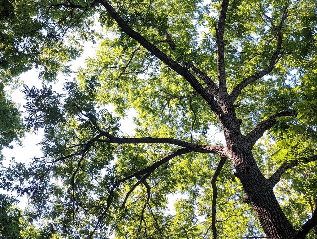 Preston Woods by Pulte Homes | 2600 Preston Woods Trail, Lake St Louis, MO 63367, USA | Phone: (636) 561-1052