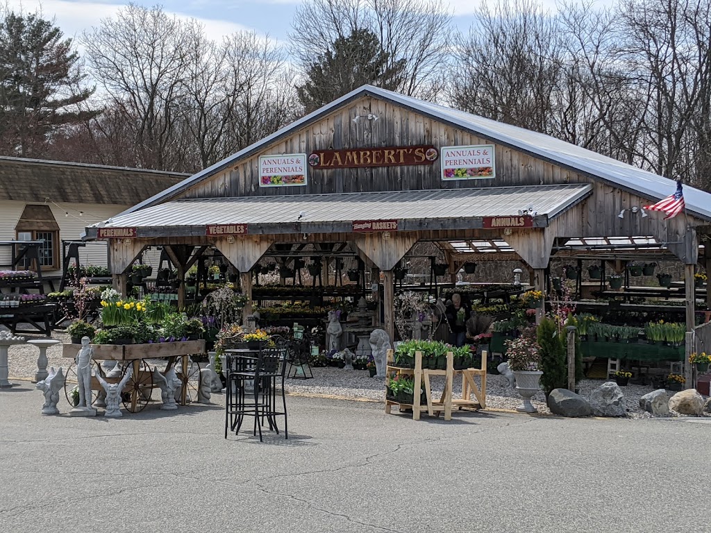 Lamberts Garden Center | 1 Cape Rd, Mendon, MA 01756, USA | Phone: (781) 389-5797