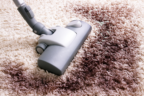 Jacobs Steamers - Carpet & Upholstery Cleaning | 160 Lanza Ave, Garfield, NJ 07026, USA | Phone: (973) 358-8886