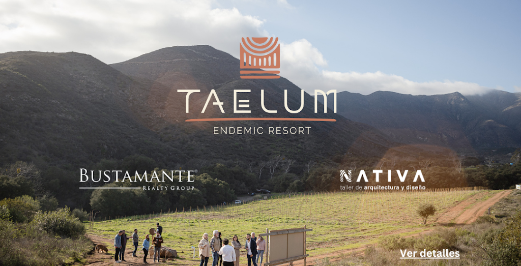 Taelum | Parcela 6, Adolfo Ruiz Cortines, 22800 Ensenada, B.C., Mexico | Phone: 646 306 1005