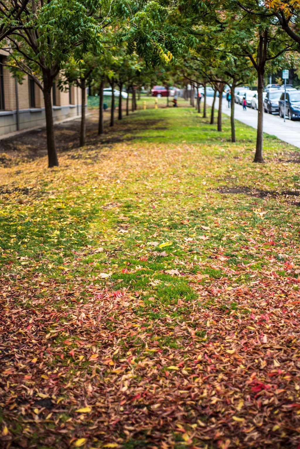 Cupertino City Hall | 10300 Torre Ave, Cupertino, CA 95014, USA | Phone: (408) 777-3200