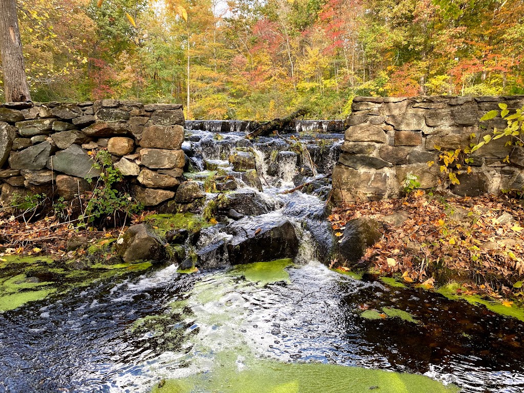 Forsyth Pond | Bartlett Arboretum & Gardens, 151 Brookdale Rd, Stamford, CT 06903 | Phone: (203) 322-6971