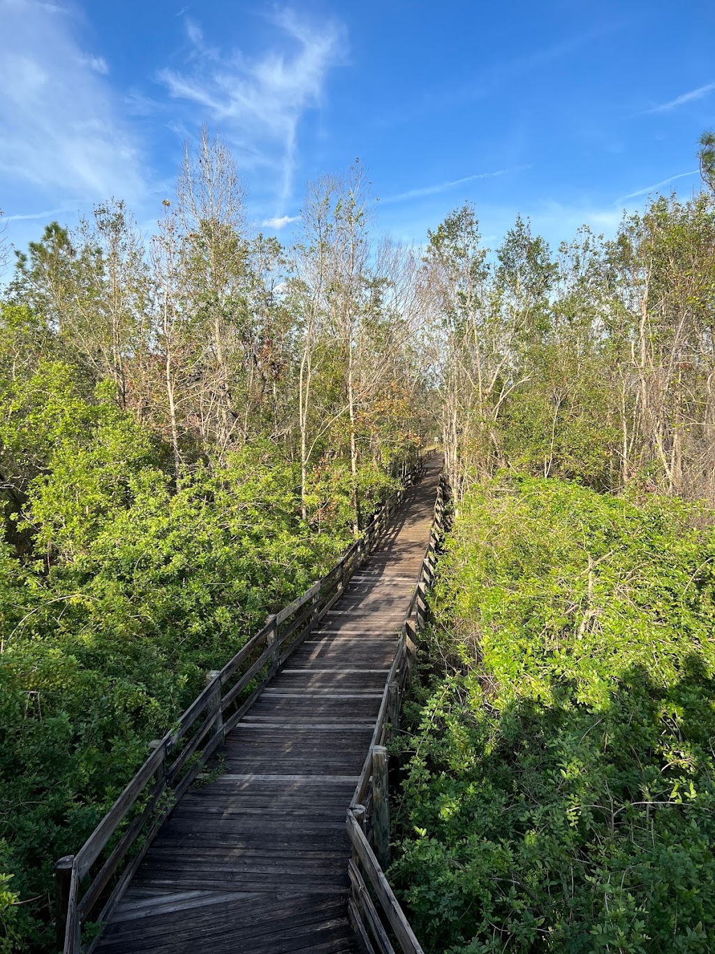 Hardee Lakes County Park | 8950 5502 Ollie Roberts Rd, Bowling Green, FL 33834 | Phone: (863) 767-1100