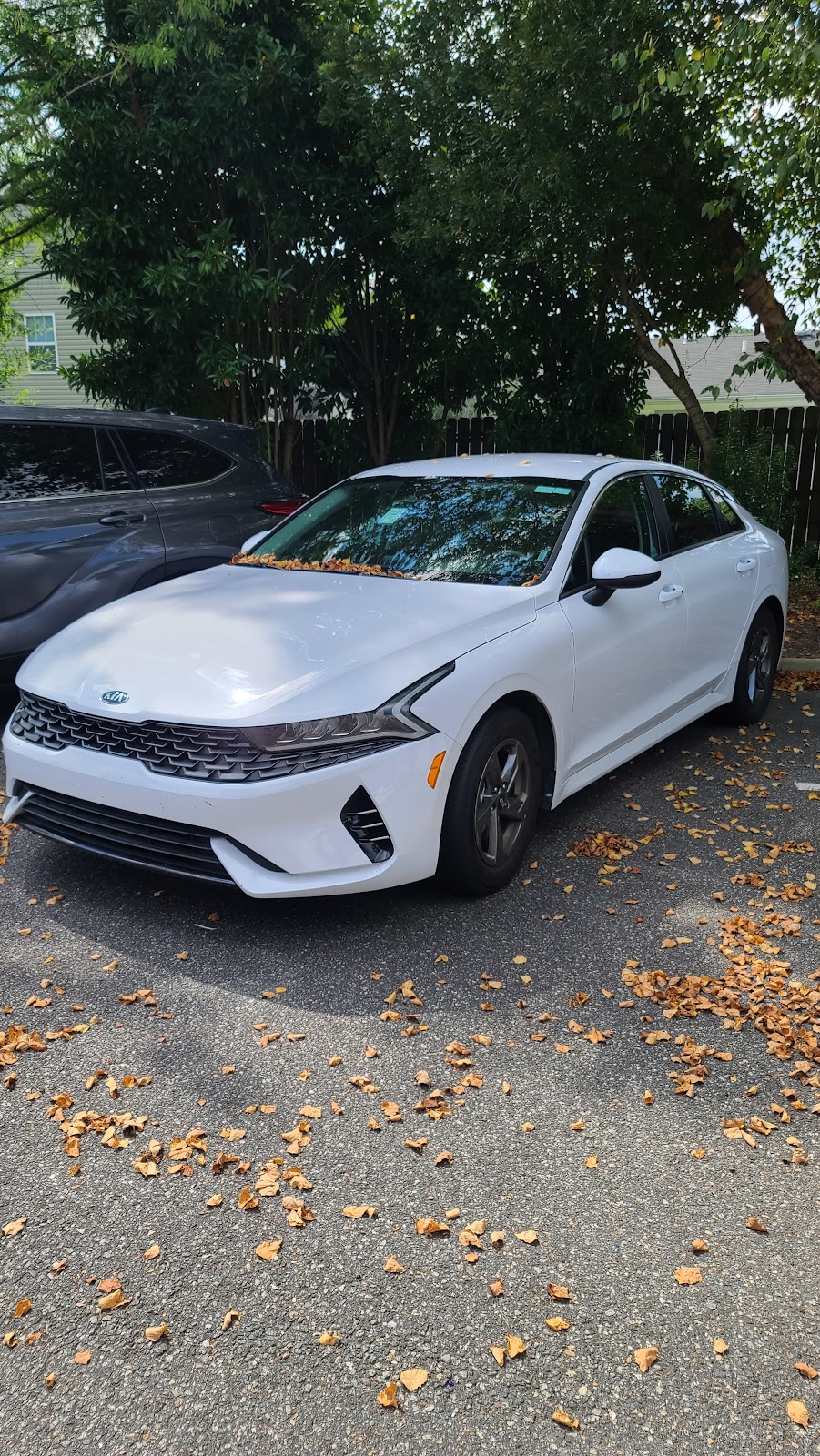 Avis Car Rental | 3333 Western Branch Blvd, Chesapeake, VA 23321, USA | Phone: (757) 484-2951