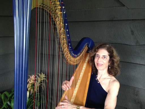 HarpNotes Atlanta Wedding Harpist | 905 Big Horn Cir, Alpharetta, GA 30022, USA | Phone: (404) 401-5032