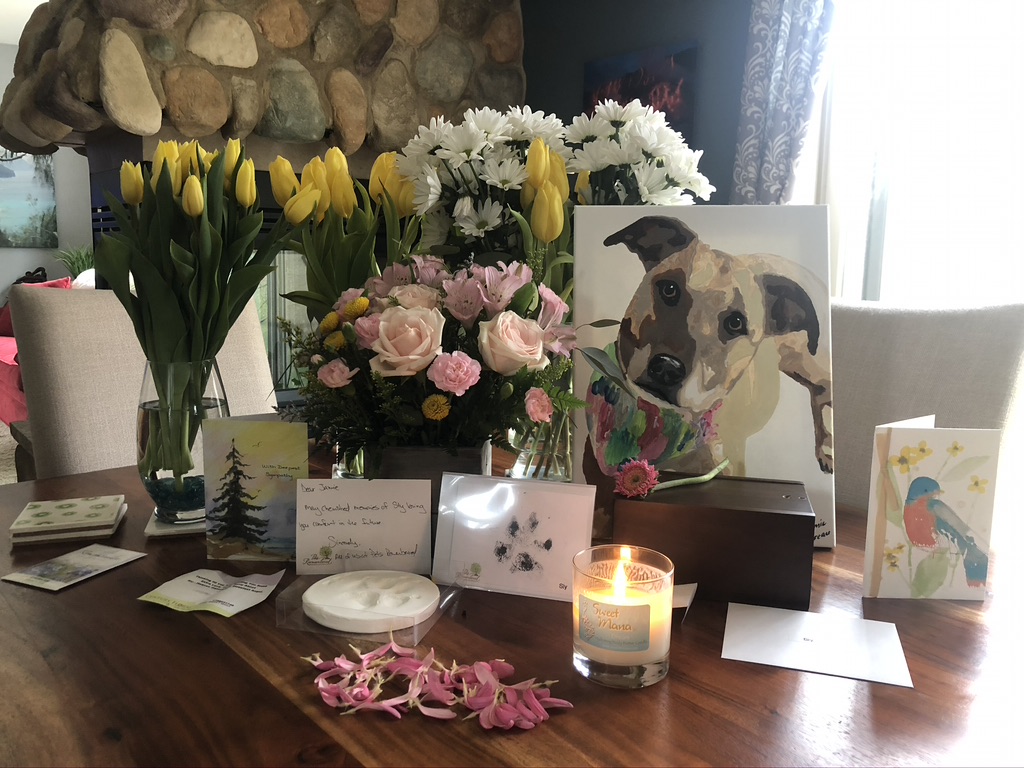 Pets Remembered Cremation Service | 15 2nd Ave SE, St Paul, MN 55112, USA | Phone: (651) 633-4564