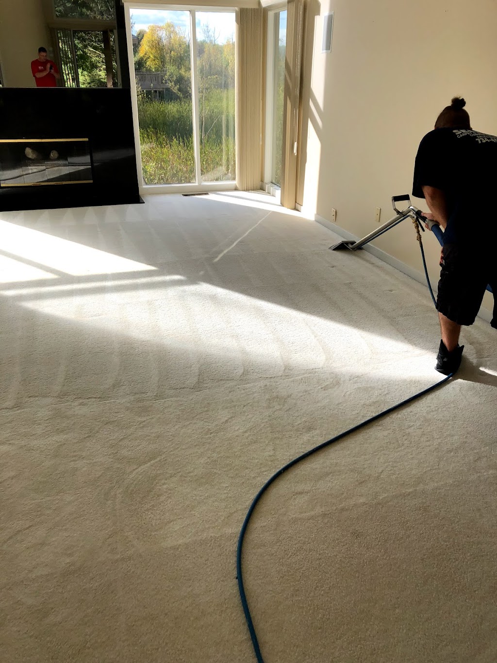 Selective Carpet Cleaning | 34424 Hazelwood St, Westland, MI 48186, USA | Phone: (734) 453-8007