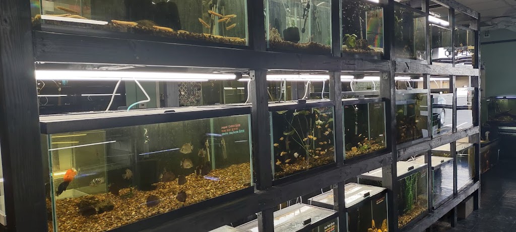 La Habra Exotic Pets | 1919 W La Habra Blvd, La Habra, CA 90631, USA | Phone: (562) 697-7110