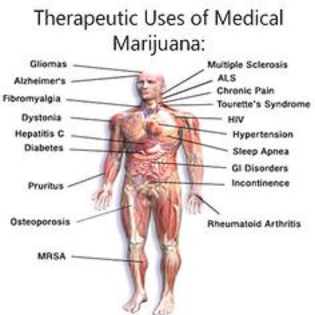 Craft Medical Marijuana Clinic | 10175 Fortune Pkwy #1106, Jacksonville, FL 32256, USA | Phone: (904) 518-6999