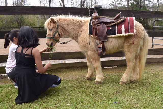 Crickets Mobile Petting Zoo | 3900 Paul Samuel Rd NW, Kennesaw, GA 30152, USA | Phone: (770) 789-1422