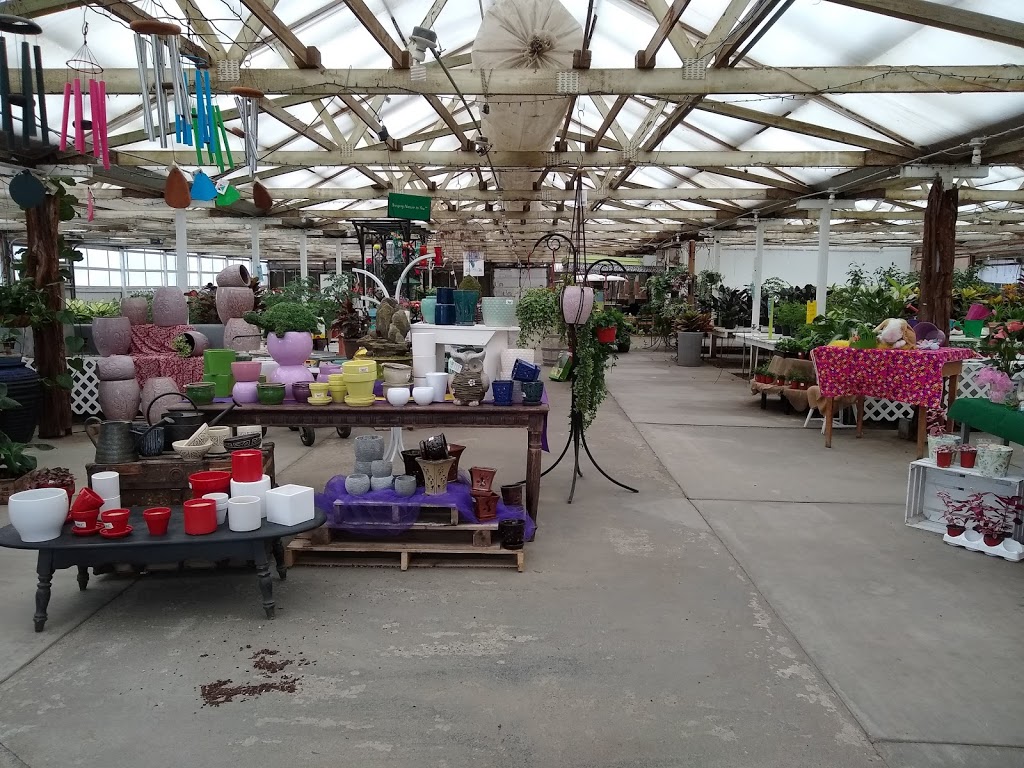 Park Greenhouse Garden Center | 12813 W Ripon Rd, Ripon, CA 95366, USA | Phone: (209) 599-3410