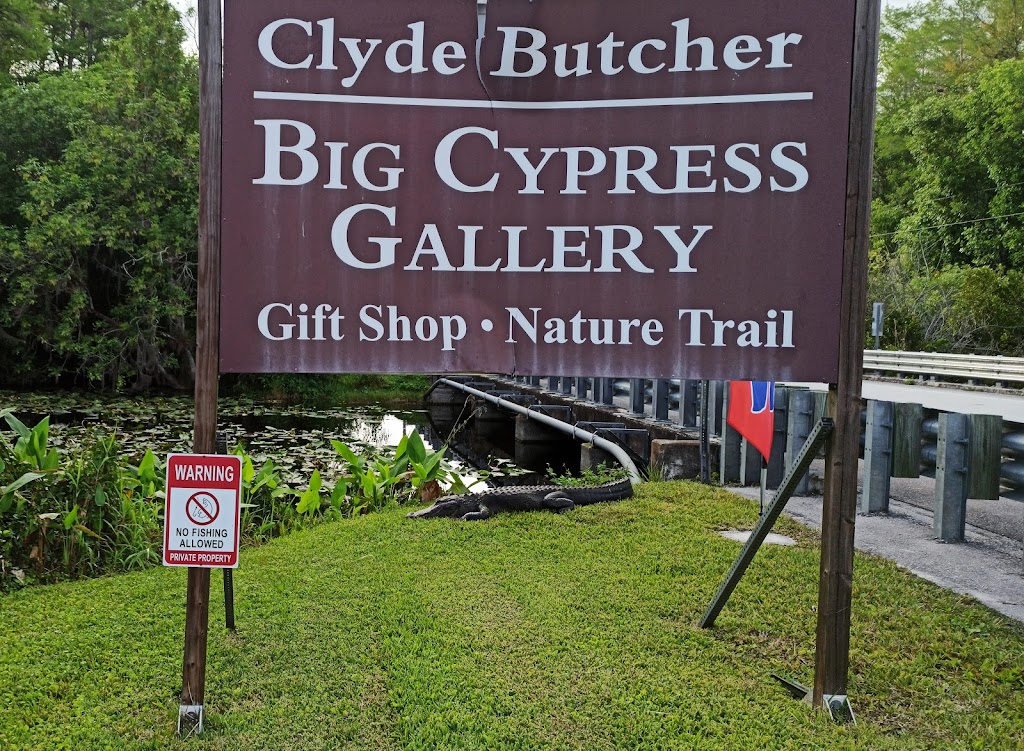 Clyde Butcher Big Cypress Gallery | 52388 Tamiami Trail E, Ochopee, FL 34141, USA | Phone: (239) 695-2428