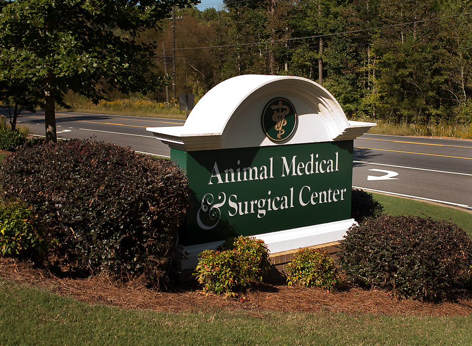 Animal Medical & Surgical Center | 9100 Knox Bridge Hwy, Canton, GA 30114, USA | Phone: (770) 479-0111