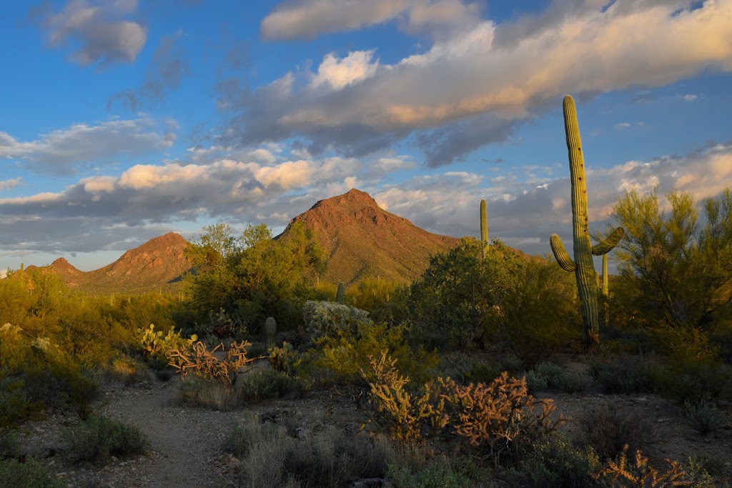 Gilbert Ray Campground | 8451 W McCain Loop, Tucson, AZ 85735, USA | Phone: (520) 403-8116