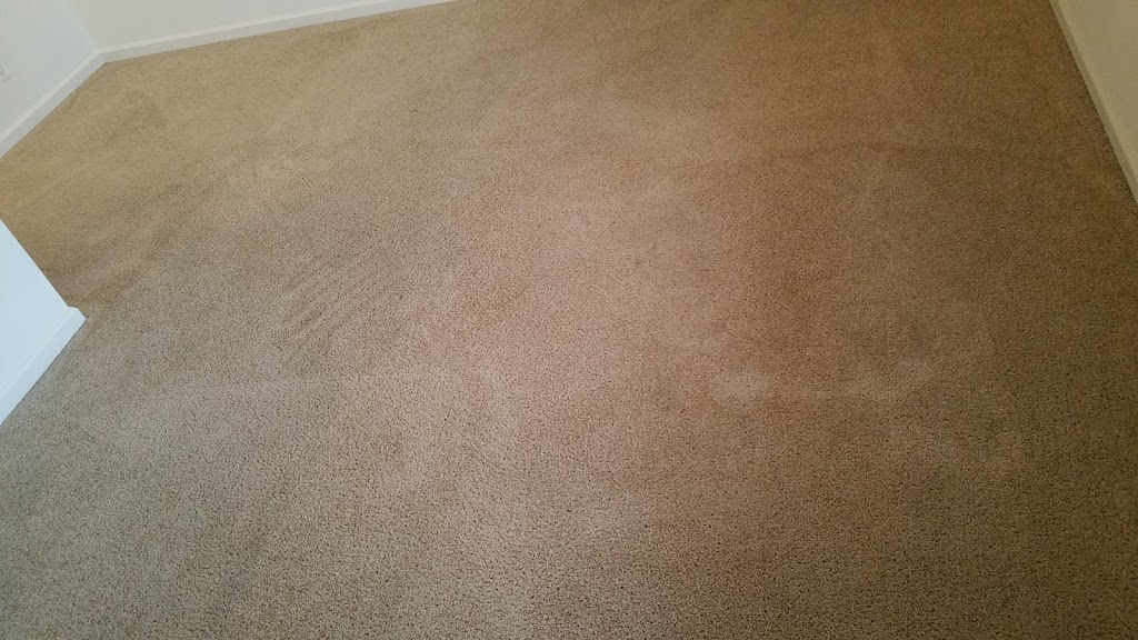 Colorbrite Carpet Cleaning | 323 Holland Hill Dr, Goldsboro, NC 27530, USA | Phone: (919) 920-7177