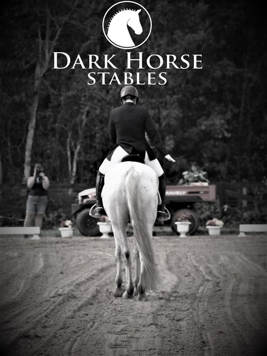 Dark Horse Stables | 7031 Lake Erie Rd, Groveland, FL 34736, USA | Phone: (352) 227-8145