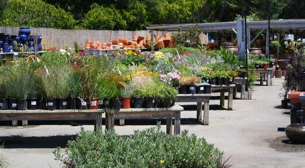 Sloat Garden Center | 700 Sir Francis Drake Blvd, Kentfield, CA 94904 | Phone: (415) 454-0262