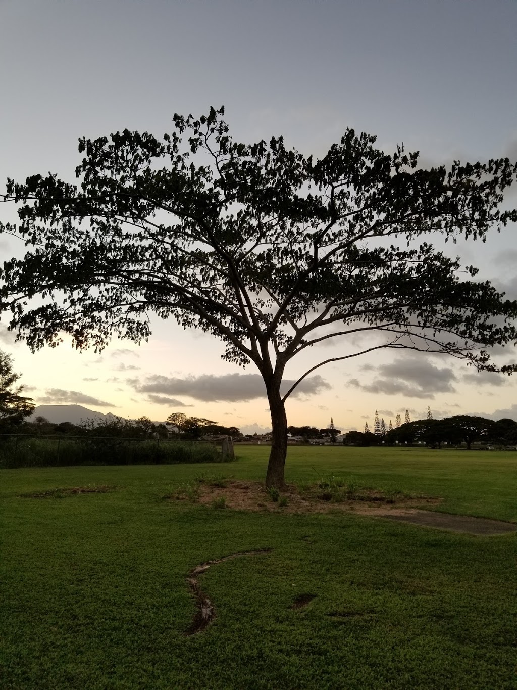 Makaʻunulau Community Park | 95-800 Makaunulau St, Mililani, HI 96789, USA | Phone: (808) 623-5258