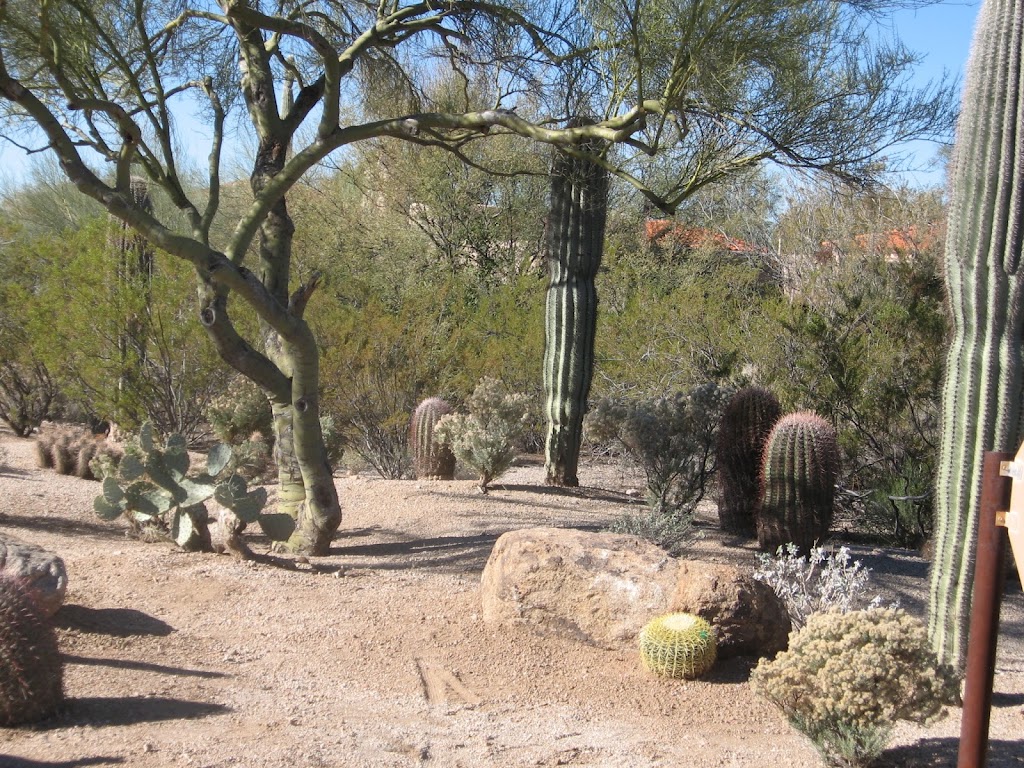 Foothills Granite LLC | 6774 E Viola Ln, Cave Creek, AZ 85331, USA | Phone: (480) 488-9003