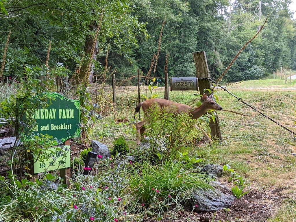 Someday Farm Vegan Bed and Breakfast | 2251 E Goodell Rd, Freeland, WA 98249, USA | Phone: (360) 331-2864