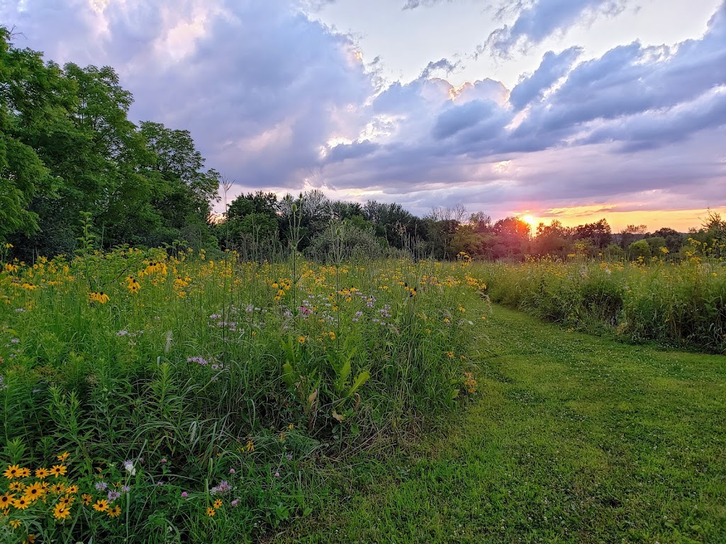 Pittsfield Preserve Southeast | 6201 W Michigan Ave, Saline, MI 48176, USA | Phone: (734) 822-3135