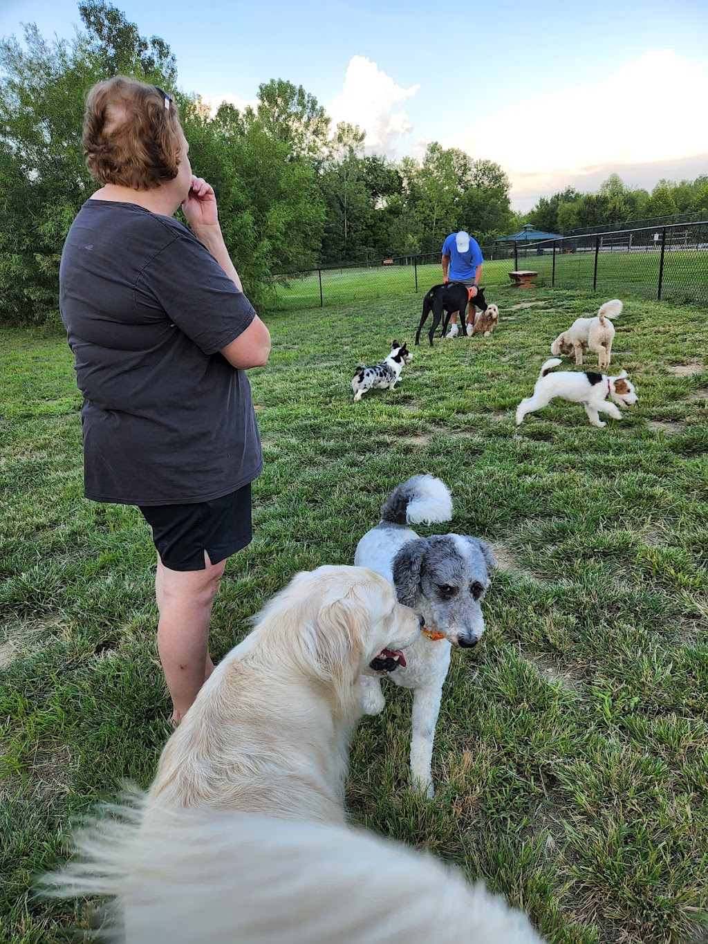 Bark Park | Cottleville Trail, Cottleville, MO 63304, USA | Phone: (636) 498-6565