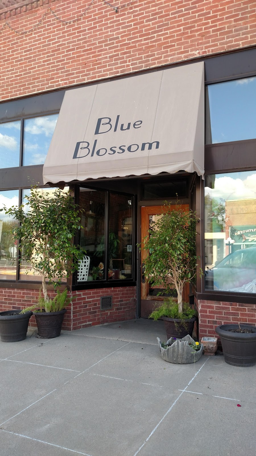 Blue Blossom Floral | 135 Maple St, Friend, NE 68359 | Phone: (402) 947-6321