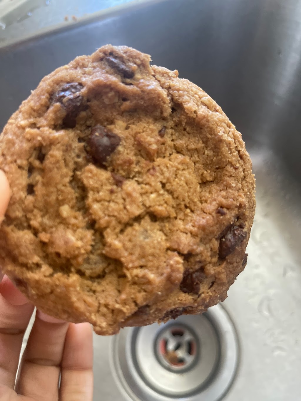 Nocturnal Cookies | 5 Clinton Square, Albany, NY 12207, USA | Phone: (518) 380-6790