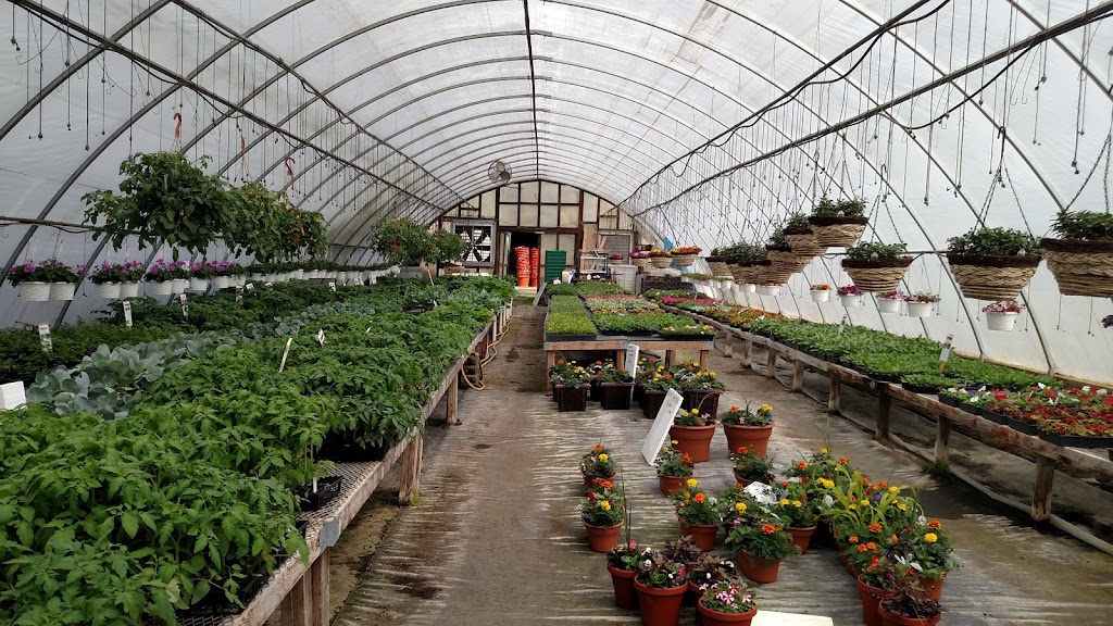 Bridges Greenhouse | 7105 Logans Ferry Rd, New Kensington, PA 15068, USA | Phone: (724) 339-1709