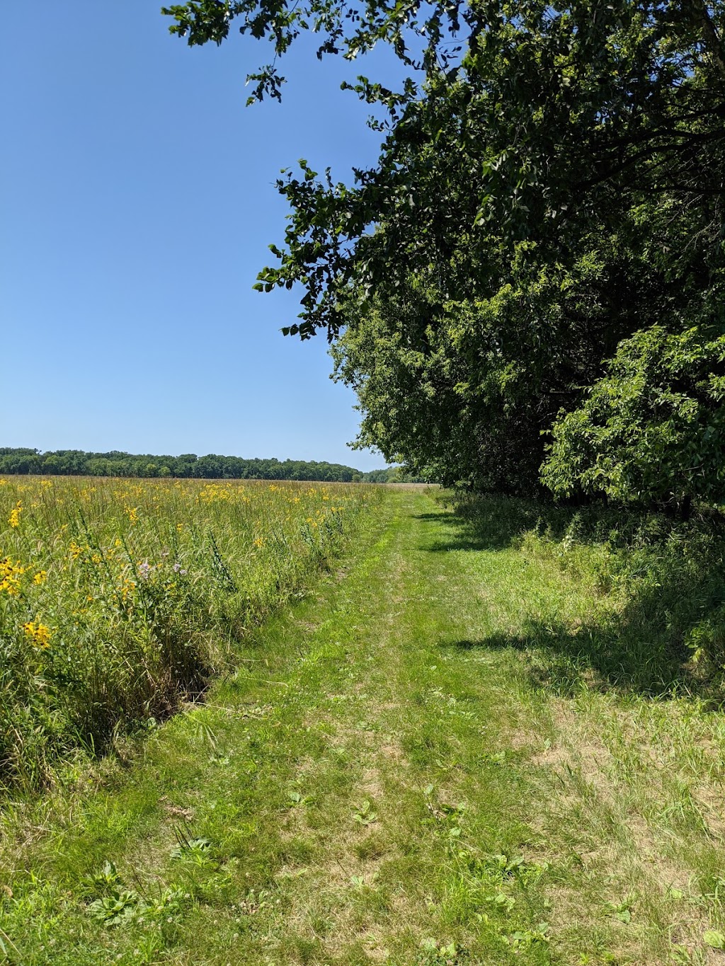 William H. Houlton Conservation Area | 1825 Main St NW, Elk River, MN 55330, USA | Phone: (763) 653-1150