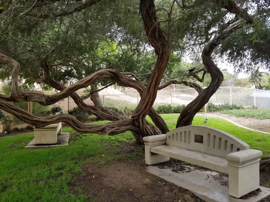 Sand Dune Park | 3299 Bell Ave, Manhattan Beach, CA 90266, USA | Phone: (310) 802-5448