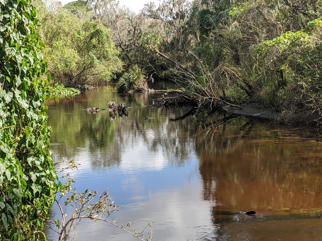 Little Manatee River State Park | 215 Lightfoot Rd, Wimauma, FL 33598, USA | Phone: (813) 671-5005