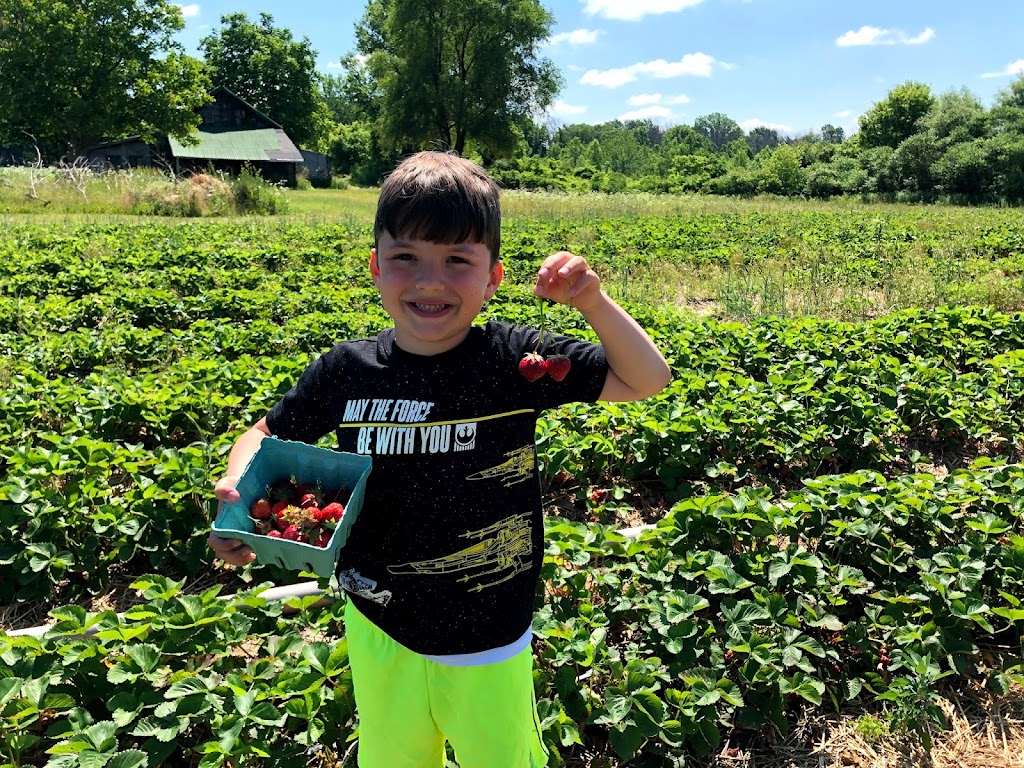 Coulter Farms 3871 N Ridge Rd, Lockport, NY 14094