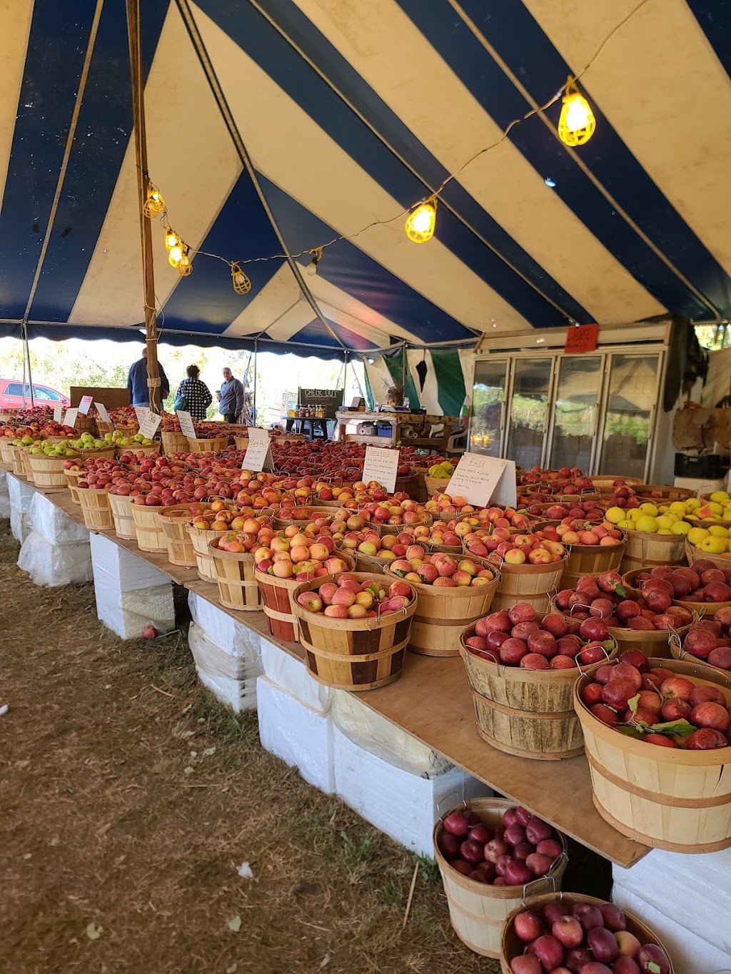 Phils U-Pick Apple Orchard | 760 N 500 W, Huntington, IN 46750, USA | Phone: (260) 388-1832