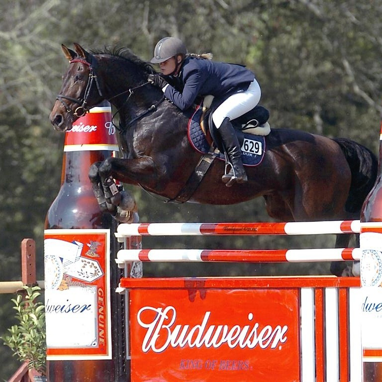 Hidden Oaks Show Jumpers | 500 Oakleaf Trail, Suwanee, GA 30024, USA | Phone: (404) 964-6459